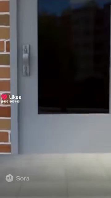 Буба опять хулиганит