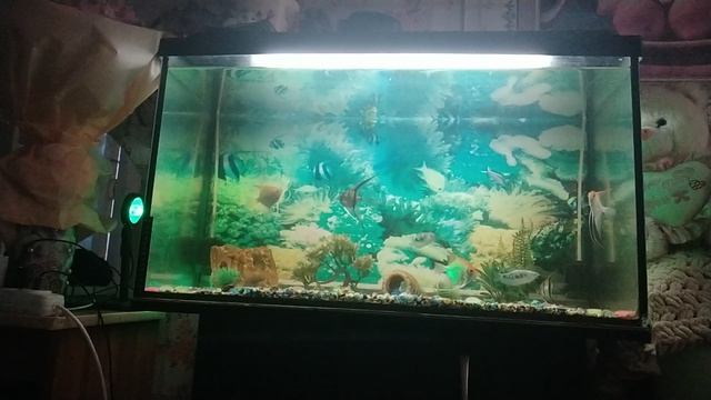 11 Аллен Карр Лёгкий способ бросить курить
Глава 1 Самый тяжёлый случай никотиновой зависимости