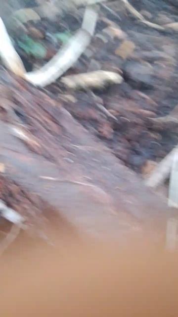 решил я значит столб сломать