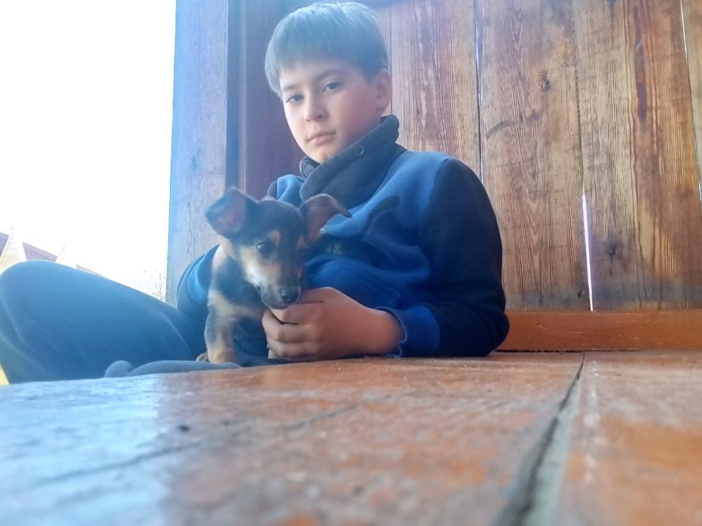 ьащыьвшвьв