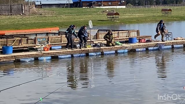 Клёв форели и ловля после запуска