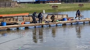 Клёв форели и ловля после запуска