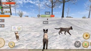 Я первая рутюбирца и играю в игру симулятор кота и кошки 😻😺