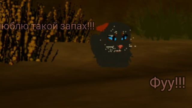 [WCUE]-Озеролапая когда учуяла запах дохлой мыши😅