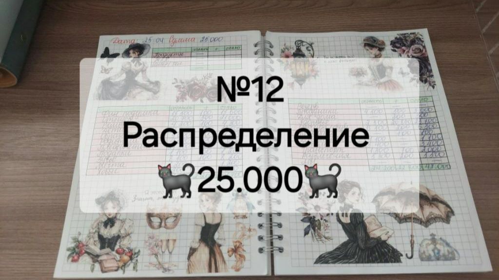 №12 Распределение денег по системе денежных конвертов. Сумма 25.000 рублей.