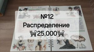 №12 Распределение денег по системе денежных конвертов. Сумма 25.000 рублей.