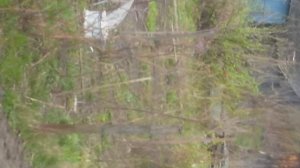 кот Том Друзья2 том.  мультмультмультКарусельКарусельКарусельКарусельКарусельГалина Добрый день рабо