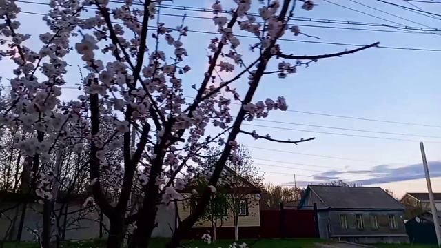 Весна. Вечер. Закат солнца