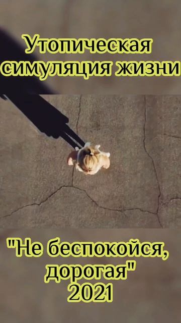 Не беспокойся, дорогая — психологический триллер 2022 г. IMDb 6,4 #фантастика #shorts