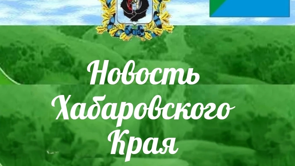 🌳 Дендрарий обновили за 30 млн рублей в Хабаровске