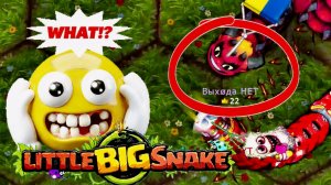 🐍Little Big Snake🐞Вы будете пересматривать это видео. Это поднимает настроение!