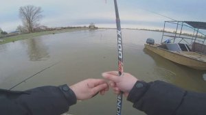 Астрахань весной: Да или Нет?