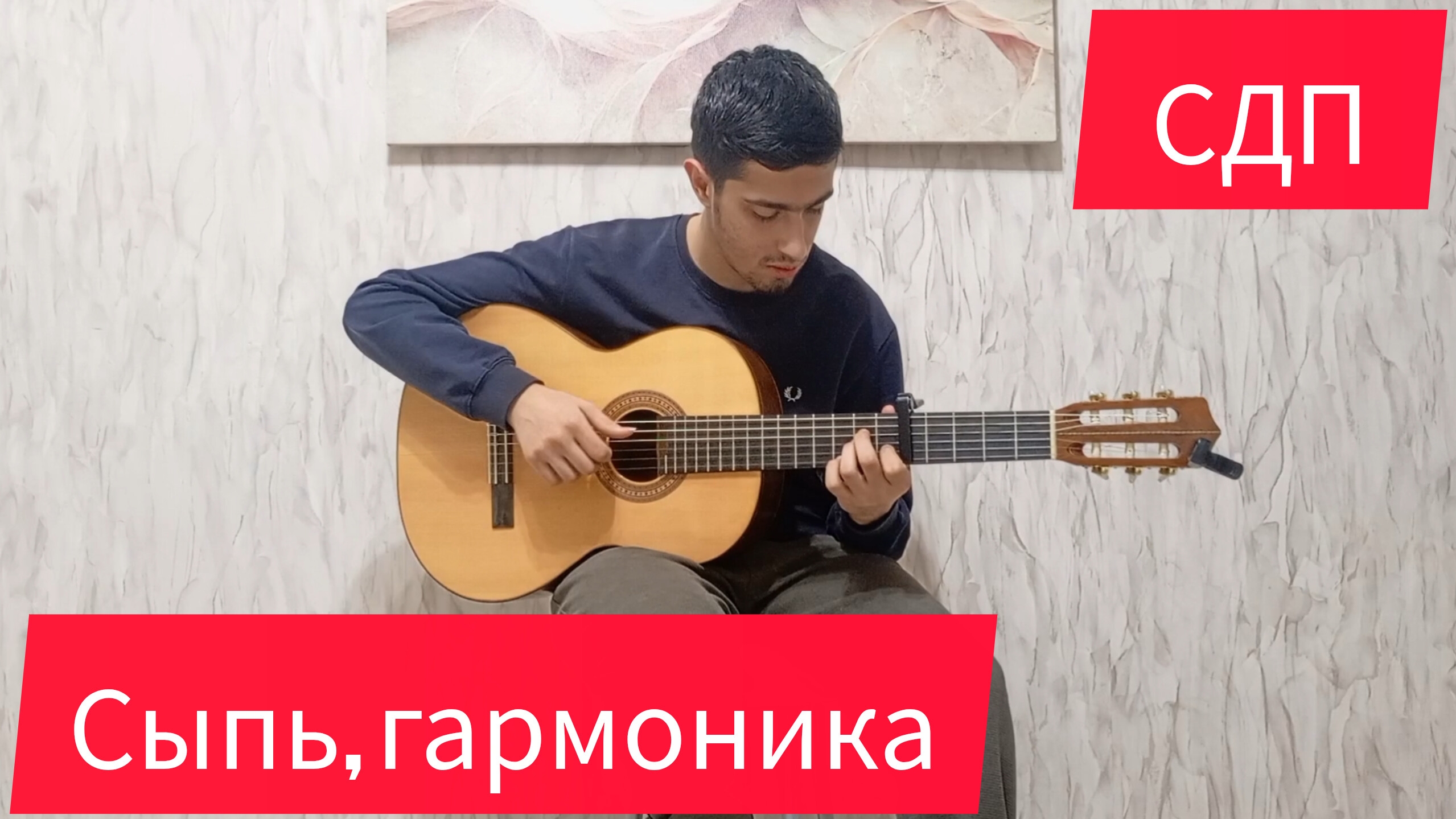 СДП - Сыпь, гармоника! | фингерстайл кавер на гитаре