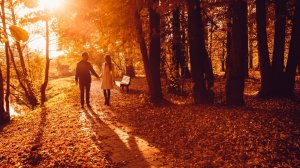 "Не придешь". Автор слов и музыки - Александр Пронин.