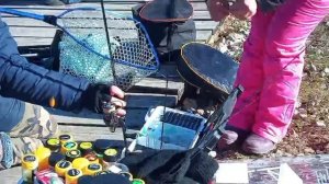 Поимка Форели