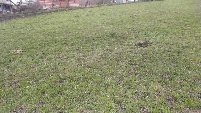 VID_20260424_143007.mp4