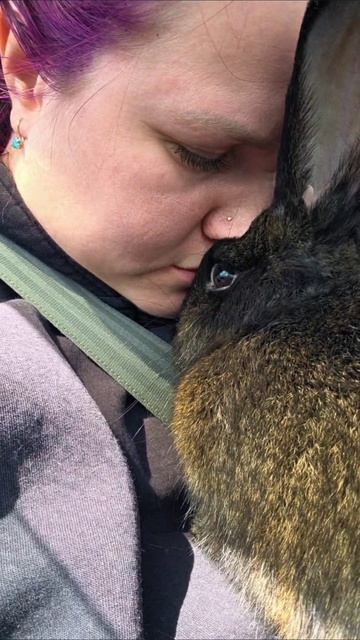 🐦⬛ формула отношений
П - поддержка 
У - уважение 
З - забота 
О - общие ценности