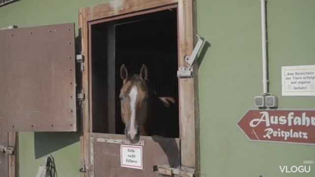 Казачий конный поход 