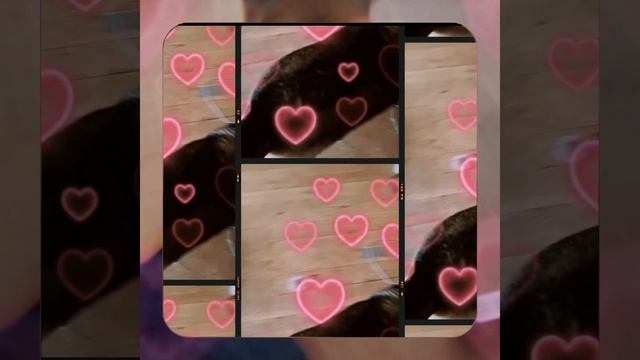 1000057046.mp4 (Собака наблюдает за устройством лестницы на 2-ой этаж в доме А-фрейм)