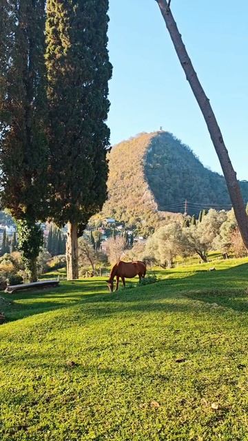 Весеннее настроение сегодня в Абхазии, скоро скоро станет совсем тепло 😌  #веснедорогу #Абхазия