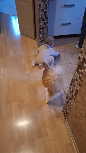 Вероника и Мася