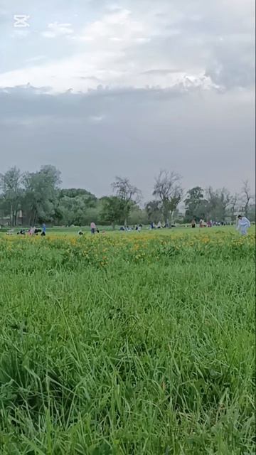 Отдых #algerie #жизньвалжире #setif #travel