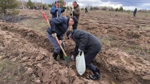 участие сотрудников МЧС Татарстана в акции "Сад памяти"