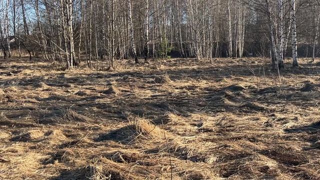 д.Клюшниково