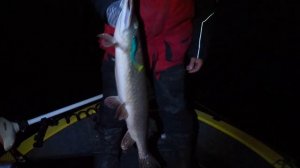 Жёсткие поклёвки в темноте! Хищники вышли на охоту. Ночная рыбалка с лодки.