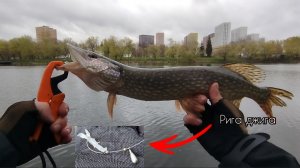 ЛОВ ЩУКИ НА ИГРУ!ФРИ РИГ/РЫБАЛКА ВЕСНОЙ АПРЕЛЬ