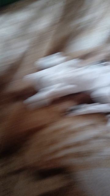 превращение😀