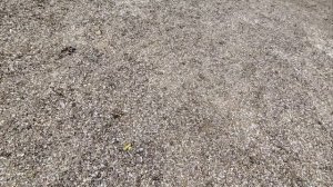 25-04-2026 прогулка у шлюзов