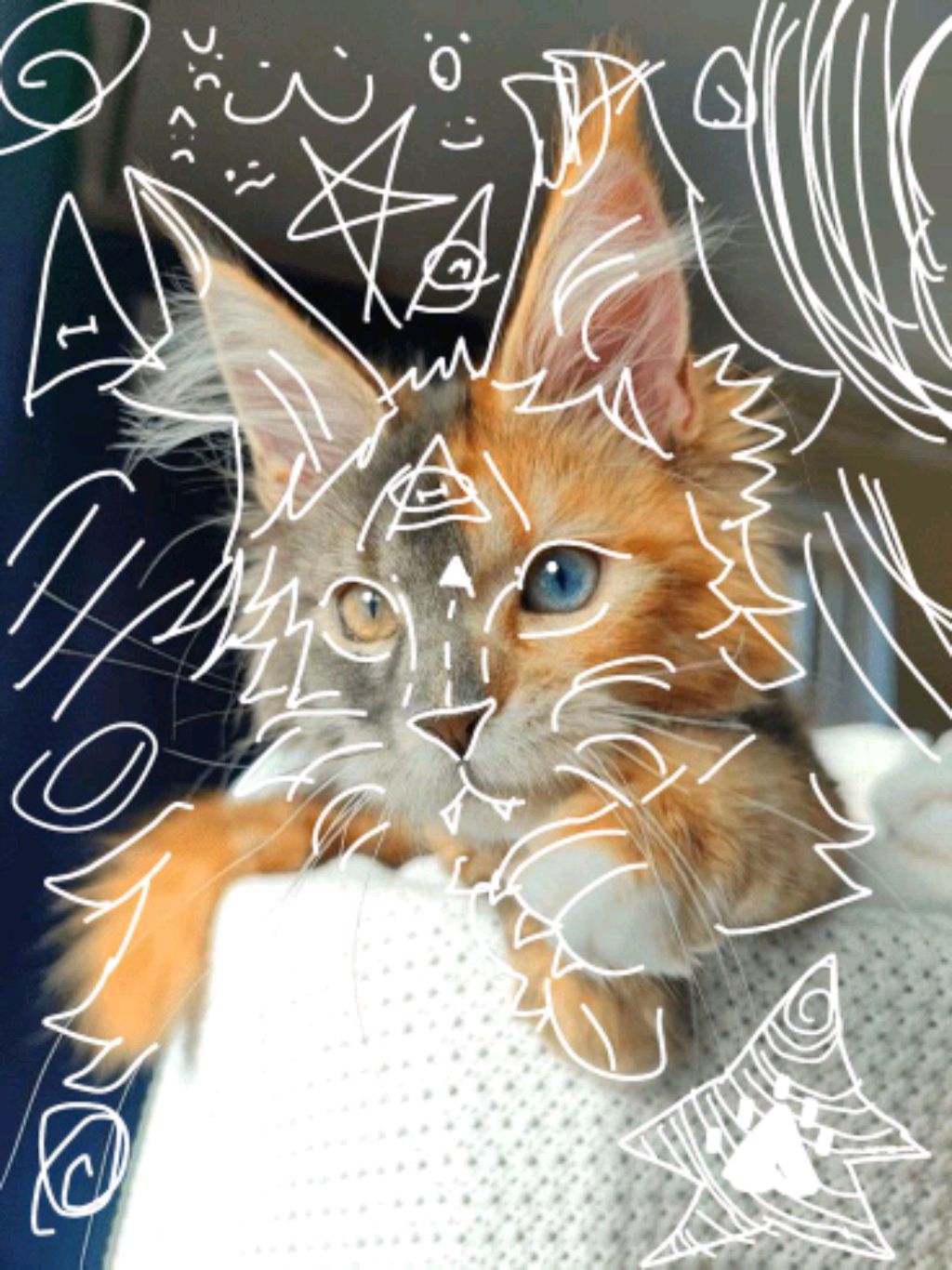 разговоры о похудении