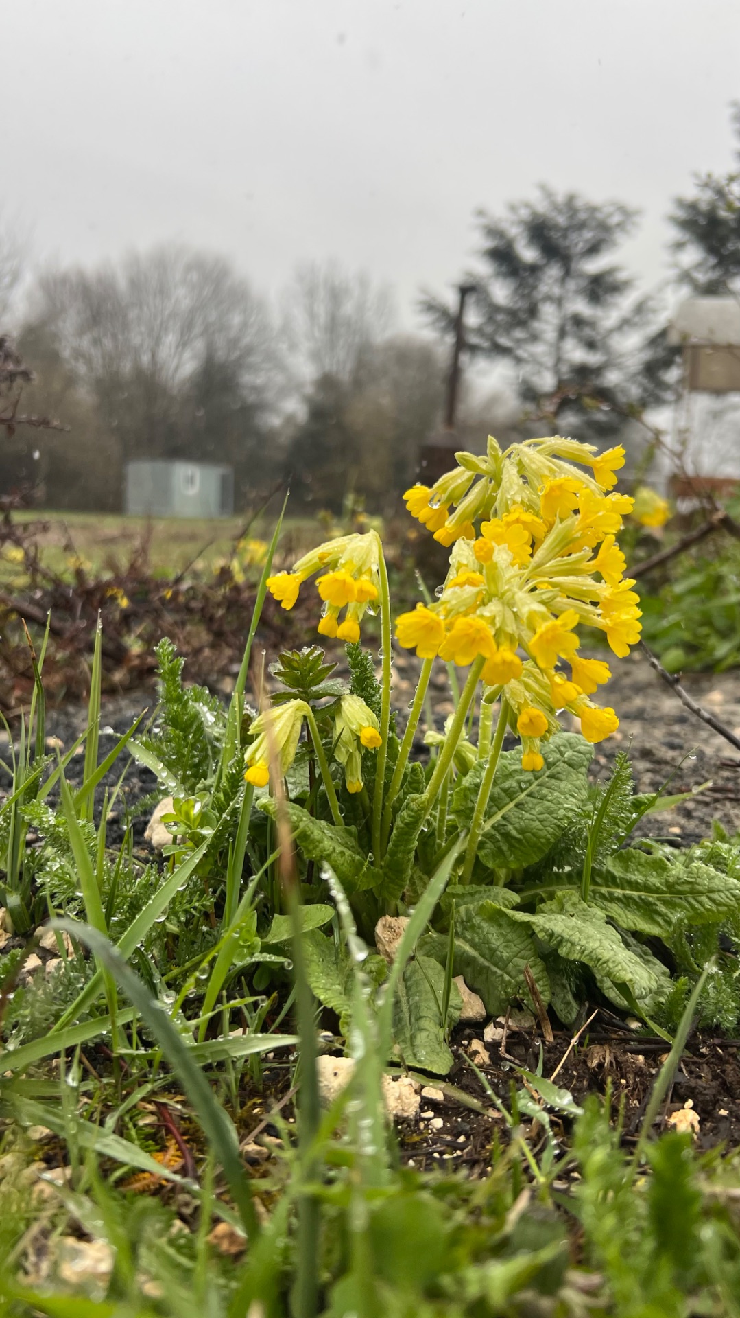 Чудеса погоды в течении одного дня) Адыгея