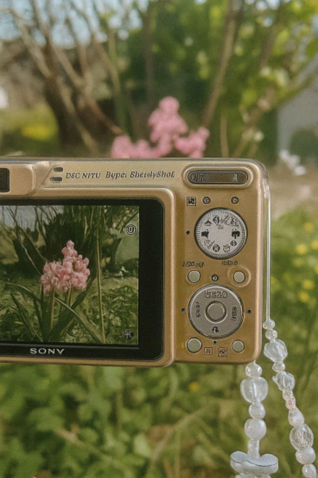 Трансляция