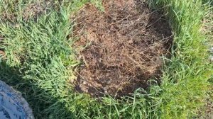 обзор одной из самых первых моих работ с комментариями