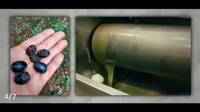 Нам рассказывали неправду об оливковом масле. Не стоит его покупать, пока вы не узнаете всю правду.