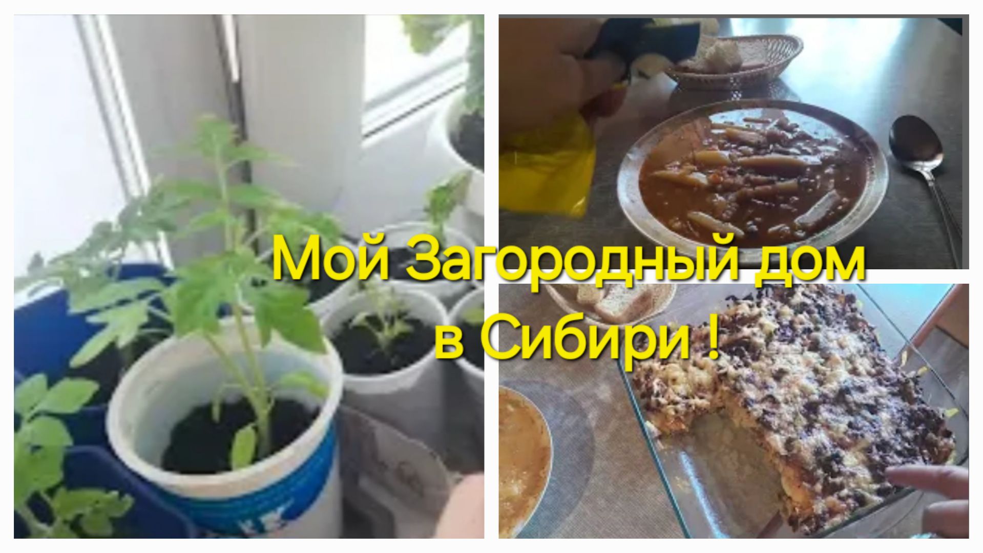 Мой маленький🏡, Сибирской деревне/Цветы🌸после подкормки радуют/Просто у нас, по Домашнему у нас,