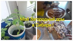 Мой маленький🏡, Сибирской деревне/Цветы🌸после подкормки радуют/Просто у нас, по Домашнему у нас,