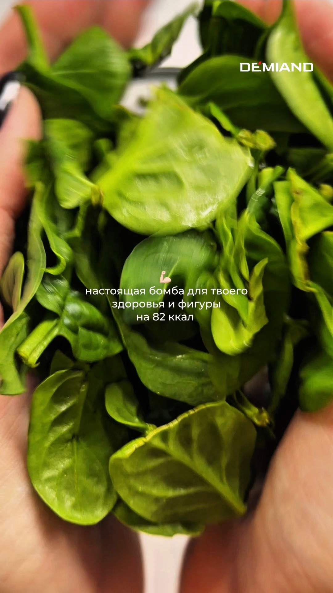 🥬 🥞 Шпинатные блинчики для твоей фигуры