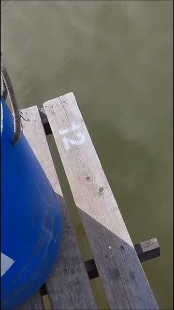 запуск25.04.mp4