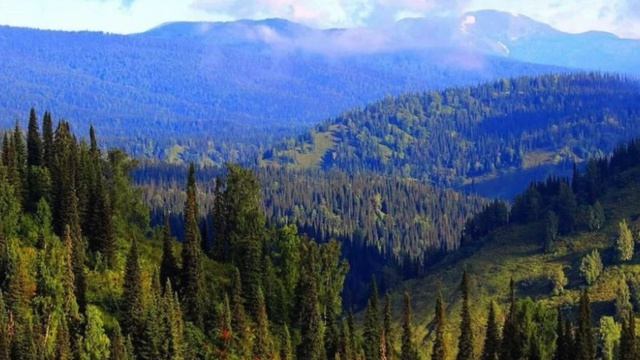 Притча о садовник. Пояснения Анастасии.