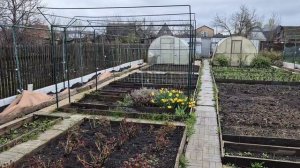 366. Виноград растет. Погода не радует.