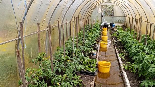 Нас немного подтопило