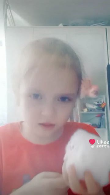 Like_7632576740784336811.mp4