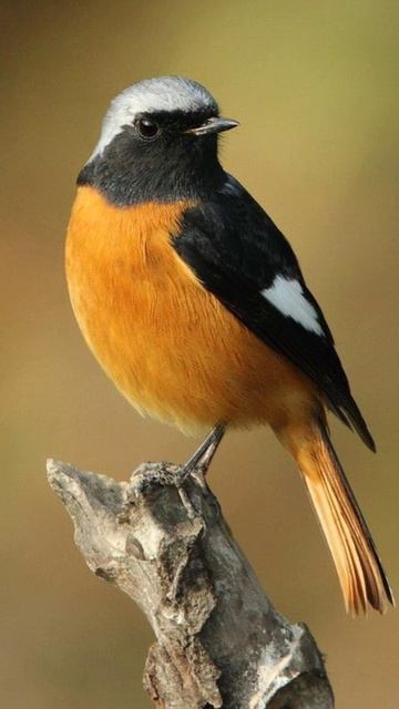 С добрым утром! 25 апреля 2026 г.