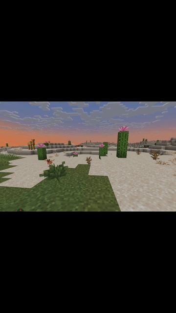 XRecorder_20260125_35.mp4