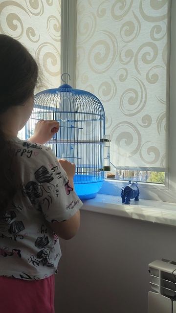 я взяла попугая на руки