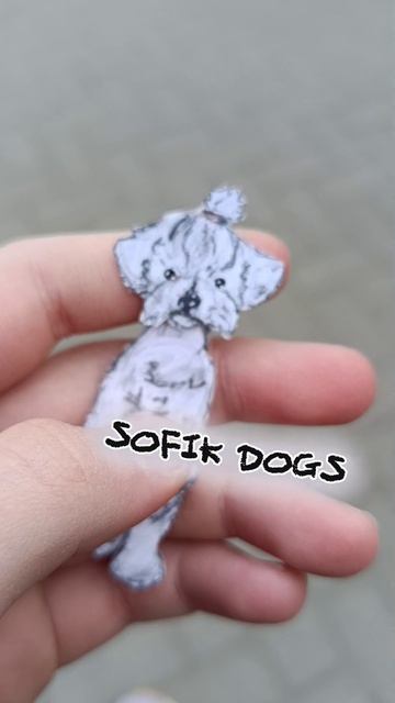 Почему не стоит гулять с собакой без шлейки...