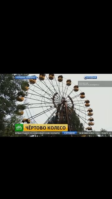 шок 🫪 даже в новостях показывали